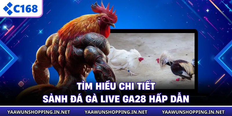 Tìm hiểu chi tiết sảnh đá gà live GA28 hấp dẫn